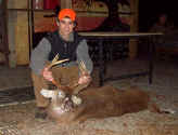 JBs-Deer-002homepage.jpg (24476 bytes)
