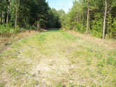 Piney Island Tower 004_1.jpg (161812 bytes)