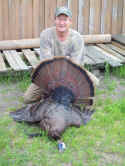 HerbTurkey-4_12_08resize.JPG (114383 bytes)