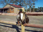 Ducks12_23_09 (Large).JPG (163393 bytes)