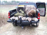 2007GooseHuntI-95_2 copy.jpg (160481 bytes)