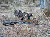 gun_n_ducks.jpg (137071 bytes)